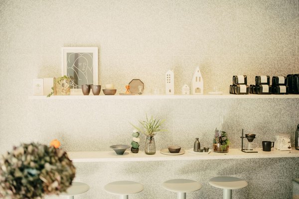 Choisissez les meilleures plantes pour votre toit végétal sous la pluie : guide pratique et astuces optimales