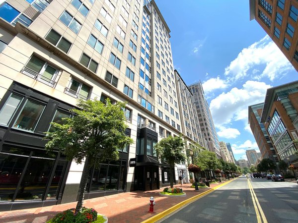 Les meilleures plantes décoratives pour son jardin